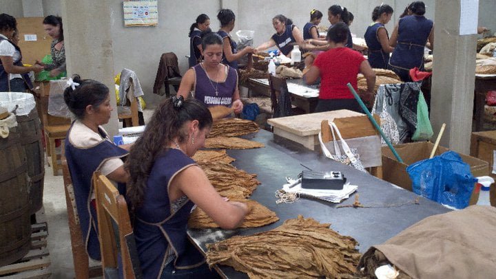 Rolling CigarHow It Is Made: Cigar Edition