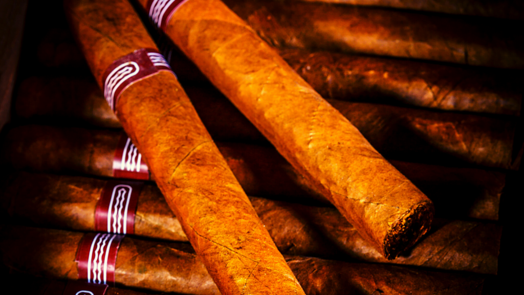 Beetles Cigar HumidorHow to Detect and Eliminate Beetles in Cigar Humidors