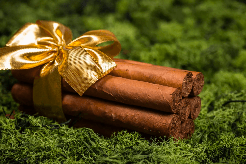 Holiday Cigar Gifts for Dad