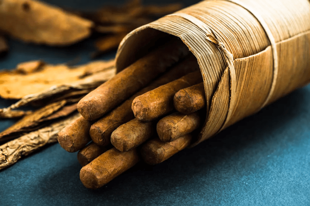 Understanding Cigar Basics