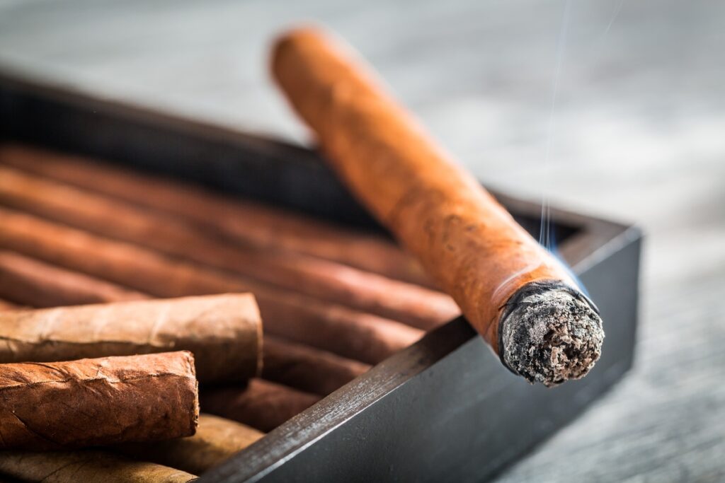 Cigars arranged in a tray, perfect for cigar aficionados.