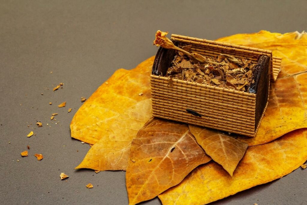 A wooden box sitting on top of a pile of autumn leaves used for flue curing tobacco.