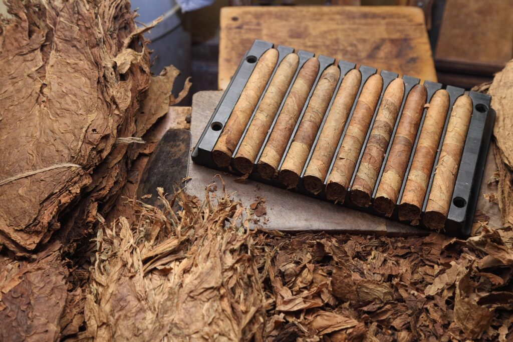 A box of aging cigars sitting on top of a pile of tobacco.