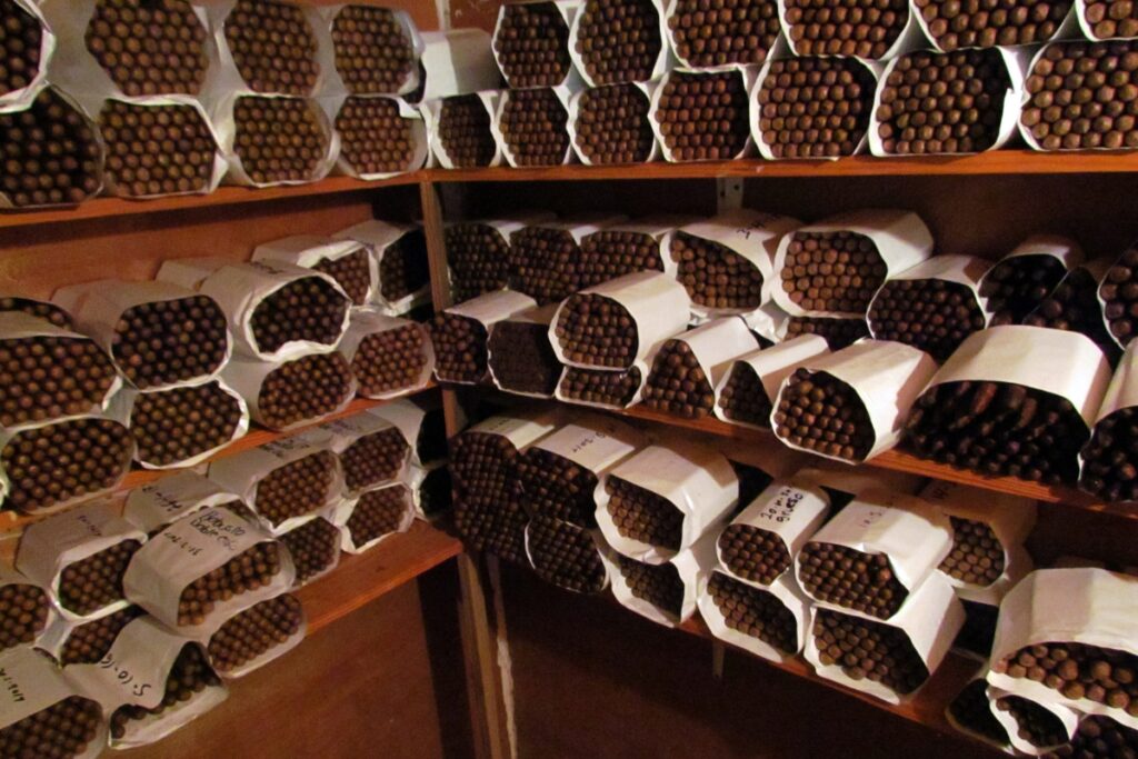 An aging room filled with cigars on shelves.