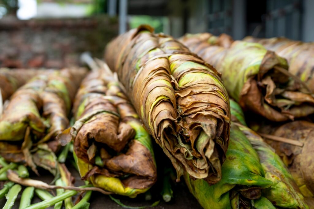 A pile of dried leaves used for tobacco harvesting.