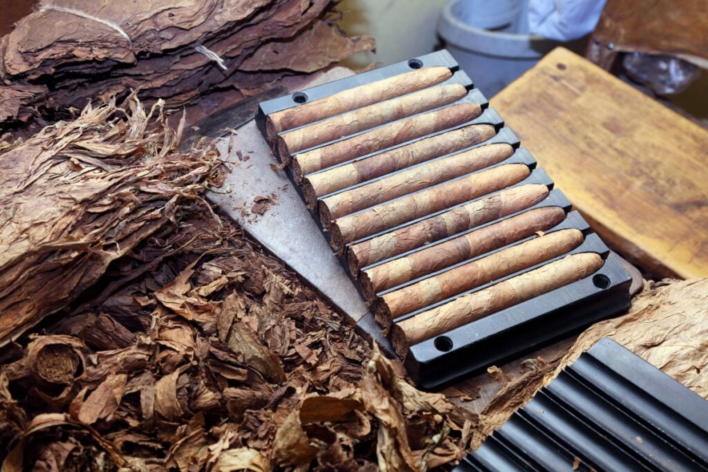 A tray holds 10 luxury cigars, surrounded by loose tobacco leaves and pieces on a worktable.