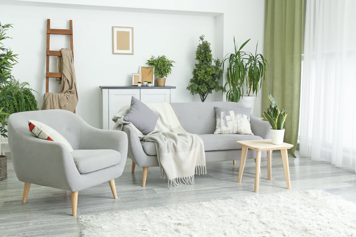 A modern, light-colored living room with a gray sofa, matching armchair, wooden coffee table, houseplants, and a white rug on a gray wooden floor. Green curtains and a ladder shelf holding essential oil for smokers are in the background.